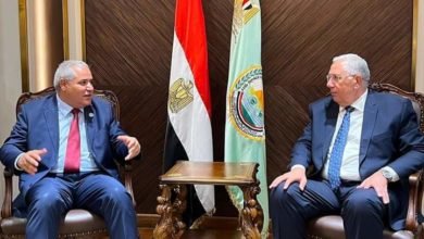 وزير الزراعة يبحث مع مسئولي "الفاو" المشروعات والأنشطة المشتركة بين الجانبين