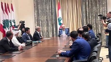 وزير الشباب والرياضة يلتقي رئيس مجلس النواب اللبناني
