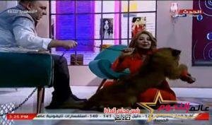 «مادلين طبر» تتوجه للمصل واللقاح بعد عضة الأسد روماريو 