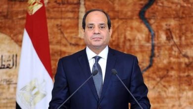 المرأة والشباب في الصدارة لتوفير فرص العمل بالمحافظات في عهد الرئيس السيسى