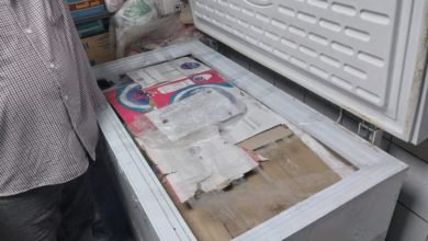 ضبط 235 كيلو لحوم ومصنعات لحوم غير صالحة للاستخدام الآدمى شرق الإسكندرية