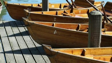 قارب نجاة .. بقلم: د/ عبير منطاش