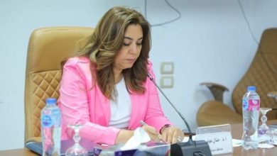 محافظ دمياط تتابع مستجدات الموقف الخاص بمشروعات المبادرة الرئاسية "حياة كريمة" فى مرحلتها الأولى