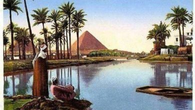 ماتلومش ع الدهر.. بقلم الشاعر: فهمي محمود حجازي