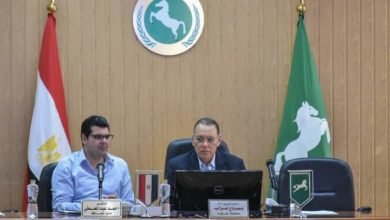 محافظ الشرقية يُعلن إطلاق مهرجان الشرقية للخيول العربية الأصيلة نهاية سبتمبر القادم