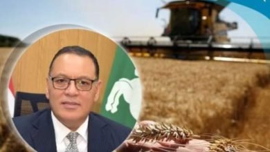 صوامع الشرقية تستعد لغلق أبوابها وإنهاء موسم توريد القمح لعام ٢٠٢٣