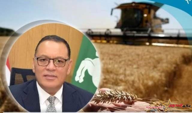صوامع الشرقية تستعد لغلق أبوابها وإنهاء موسم توريد القمح لعام ٢٠٢٣