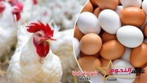 أسعار الفراخ والبيض اليوم الثلاثاء 29 أغسطس 2023 فى بورصة الدواجن 2 أسعار الفراخ والبيض اليوم الثلاثاء 29 أغسطس 2023 فى بورصة الدواجن