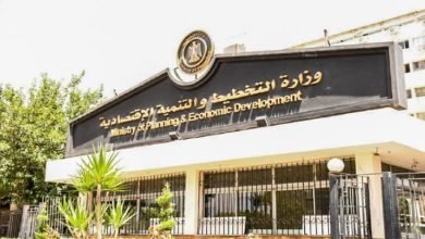 التخطيط: الانتهاء من تنفيذ 191 منشأة تضامن ضمن مشروعات حياة كريمة