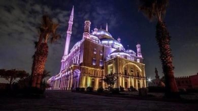 نجوم الغناء المصري والعربي حصريًا بمهرجان القلعة بداية من اليوم