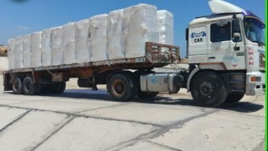 محافظة الإسكندرية تعدم نحو 4545 طن مخلفات خطرة خلال 6 أشهر بمركز الناصرية لمعالجة المخلفات الخطرة
