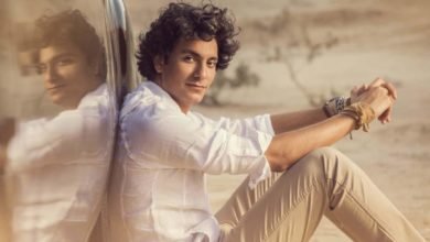 محمد محسن يحتفل ضمن فعاليات مهرجان القلعة للموسيقى والغناء بدورته الـ 31