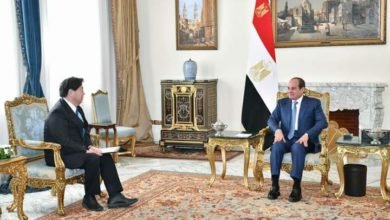 السيسي يلتقي وزير خارجية اليابان لتعزيز العلاقات بين البلدين