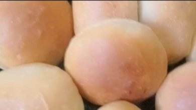 طريقه عمل الخبز الفينو من مطبخ عالم النجوم