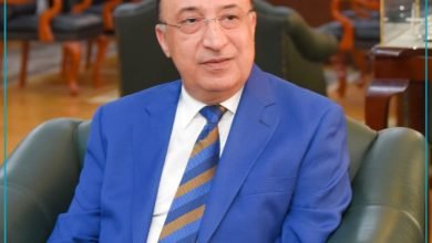 محافظ الإسكندرية: إزالة 837 إعلان مخالف بأحياء الثغر خلال شهر أغسطس