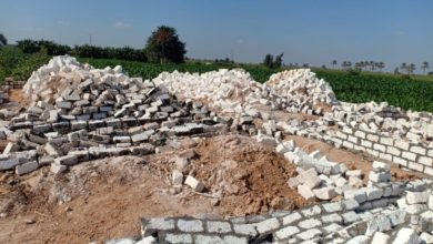 محافظ الإسكندرية يشدد علي شن حملات دورية ومفاجئة للتصدي لكافة صور التعديات علي أملاك الدولة وأعمال البناء المخالف في المهد