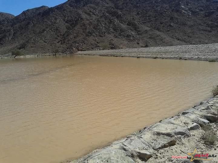 سويلم: محطة معالجة مياه مصرف بحر البقر الأكبر على مستوى العالم لإستصلاح 456 ألف فدان بشمال سيناء