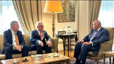 شكري يستقبل منسق الأمم المتحدة الخاص لعملية السلام في الشرق الأوسط والمفوض العام لوكالة الأونروا