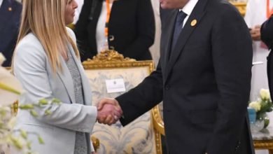 السيسي يعقد عدة لقاءات على هامش قمة القاهرة للسلام