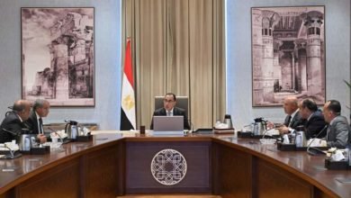 رئيس الوزراء يبحث سبل تنمية الصادرات المصرية إلى أفريقيا