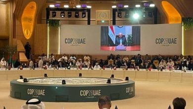 شكري يشارك افتراضياً في افتتاح المؤتمر الوزاري التحضيري لمؤتمر الدول الأطراف في اتفاقية التغير المناخي