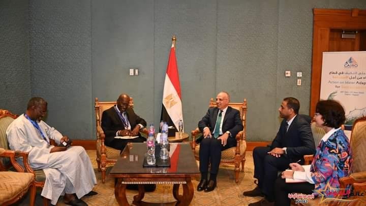 سويلم يلتقى المدير الإقليمى لبنك التنمية الافريقى فى مصر