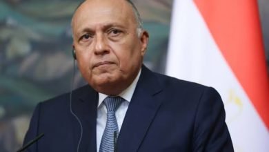 شكري يتلقى اتصالاً هاتفياً من وزير الخارجية الإماراتي