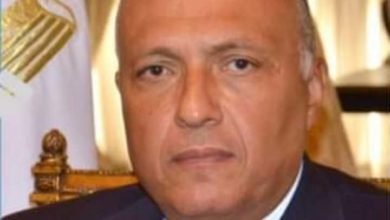 سامح شكري يُجري اتصالاً هاتفياً مع وزيرة الخارجية الألمانية.. ويتلقى اتصالاً من نظيره التركي
