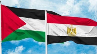 قمة القاهرة للسلام.. مصر تحتضن العالم لبحث الوضع في غزة