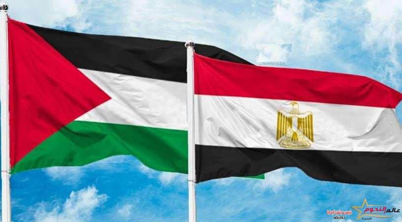 قمة القاهرة للسلام.. مصر تحتضن العالم لبحث الوضع في غزة