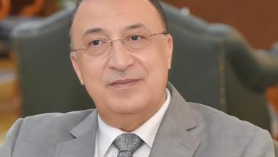 محافظ الإسكندرية: حياة كريمة أحدثت طفرة خدمية هائلة بقرى برج العرب