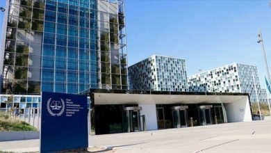 مهران يدعو الشعوب لتقديم بلاغات الكترونية للجنائية الدولية ضد إسرائيل