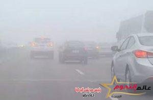 «الارصاد» تحذر من كثافة الشبورة المائية علي الطرق الزراعية والسريعة بالاسكندرية 2 «الارصاد» تحذر من كثافة الشبورة المائية علي الطرق الزراعية والسريعة بالاسكندرية