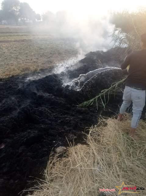 جهاز شؤون البيئة بمحافظة الشرقية يحرر (538) محضر حرق قش أرز 3 جهاز شؤون البيئة بمحافظة الشرقية يحرر (538) محضر حرق قش أرز