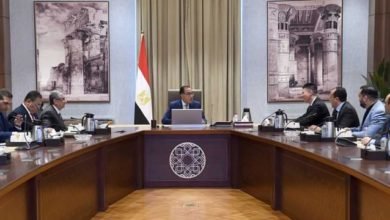 رئيس الوزراء يلتقي رئيس شركة "لونجي" الصينية الرائدة في تكنولوجيا الطاقة الشمسية