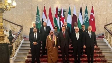 شكري يلتقي والوزراء أعضاء اللجنة الوزارية العربية/الإسلامية مع وزير الخارجية البريطاني في لندن