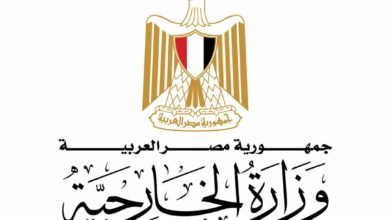 شكري يتوجه إلى برشلونة ونيويورك للمشاركة في لقاءات اللجنة الوزارية العربية/الإسلامية بشأن غزة