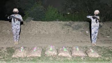 حرس الحدود بجازان يحبط تهريب 125 كيلوغراماً من «القات»