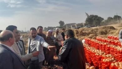 وزير الزراعة يوجه بحملات تفتيشية على مفارش البصل لدى التجار في جميع محافظات الجمهورية 