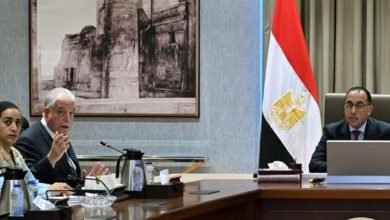 رئيس الوزراء يتابع الموقف التنفيذي لعدد من المشروعات في محافظة "جنوب سيناء"