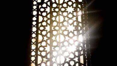 شعاع النور بقلم د.عبير منطاش