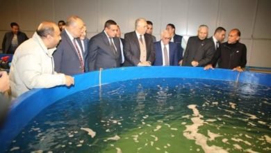وزيرا الزراعة والتنمية المحلية ومحافظ بورسعيد يتفقدون مفارخ الأسماك ببورسعيد