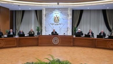 مجلس الوزراء يوافق على إنشاء منطقة حرة عامة بمدينة دمياط للأثاث