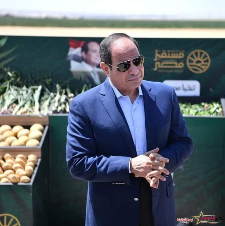 الزراعة خلال عشر سنوات على أولوية الدولة المصرية