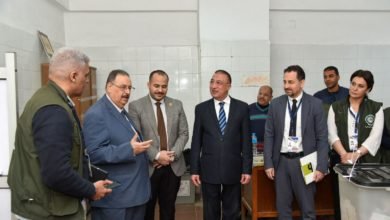 محافظ الإسكندرية وبعثة جامعة الدول العربية يتفقدون عددًا من لجان الانتخابات الرئاسية ٢٠٢٤