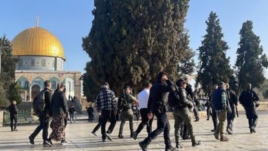 عاجل … مستوطنون إسرائيليون يقتحمون المسجد الأقصى بحماية الاحتلال الإسرائيلى