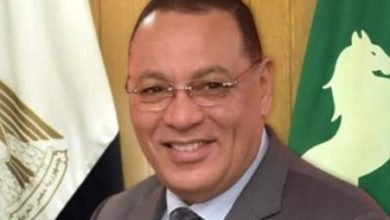 بيطري الشرقية يُحصن (٥٧٨ ألف و ٦٥٣) رأس ماشية ضد مرضي الحمى القلاعية وحمى الوادي المتصدع