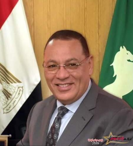 بيطري الشرقية يُحصن (٥٧٨ ألف و ٦٥٣) رأس ماشية ضد مرضي الحمى القلاعية وحمى الوادي المتصدع