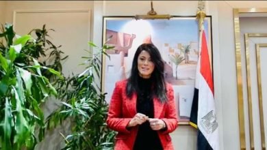 المشاط تلقى الكلمة الافتتاحية بالجلسة المعلوماتية فى إطار برنامج التعاون الإقليمى الجديد مع الاتحاد الأوروبي