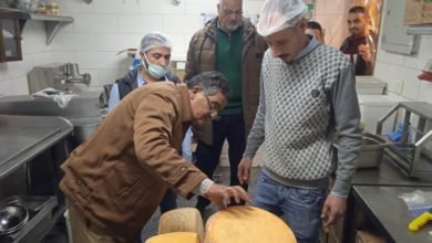 محافظ الإسكندرية يشدد على رؤساء الأحياء باستمرار تكثيف الحملات المُكبرة للتفتيش على المنشآت العامة والأسواق وإزالة الإشغالات بأحياء الثغر